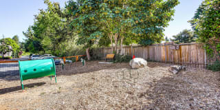 Irwin Park Gallery 4