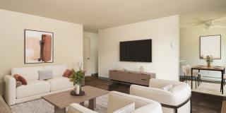 Pinewood Terrace Gallery 3