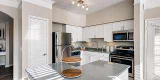 Lowry Park Gallery 26