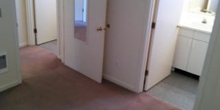 (560) 21st Street Duplex - 2 Bedroom / 2 Bathroom Gallery 13