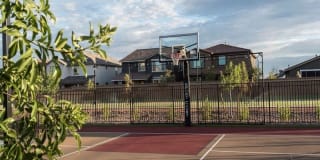 Liv Northgate Gallery 18