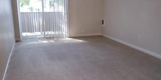 Chelan Gallery 30