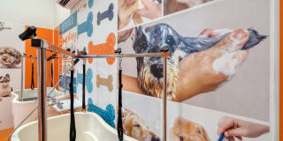 Meridian at the Port Gallery 14