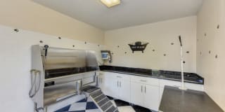 Hidden Oaks Gallery 24