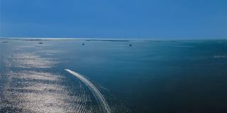 110 CARLYLE CIRCLE Gallery 61