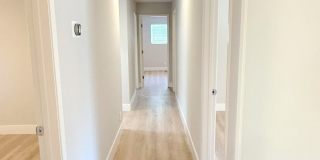 Remodeled one story home in highly desirable Alamo with huge park like yard ! Remodeled one story home in highly desirable Alamo with huge park like yard ! Gallery 18