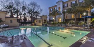 Park Central Gallery 2