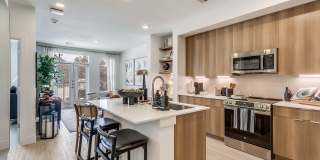 Altitude at the Brooks Gallery 1