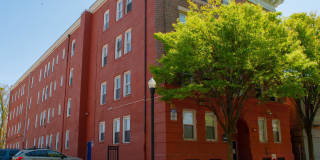 Virginia Arms Gallery 2