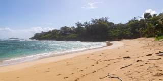 Dolphin House: North Shore Escape w/ Direct Beach Access, Close to Turtle Bay Gallery 37