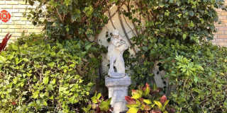 5580 W Tamberlane Circle Gallery 27