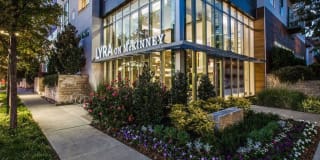 Lyra on McKinney Gallery 26