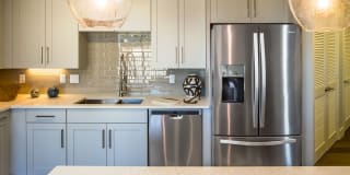 Palmetto Promenade Gallery 9