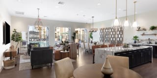 Senior Housing- Palmia, Age 55+ Luxury Apartments Gallery 18