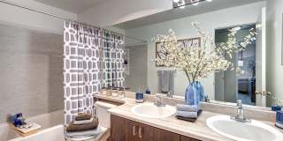 Signature Pointe Gallery 22