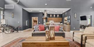 Kinsley Forest Gallery 14