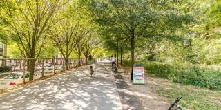 Highland Walk Gallery 32