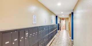 339 S. Ardmore Gallery 30