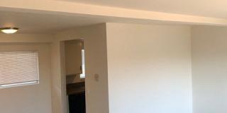 Eddy Seaview Gallery 15