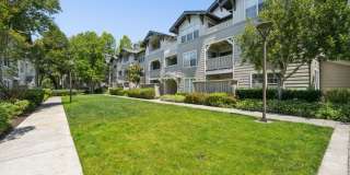 The Presidio Apartments Gallery 46