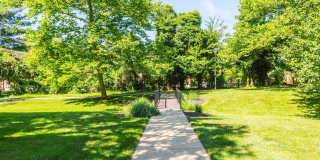 Annen Woods Annen Woods Gallery 27