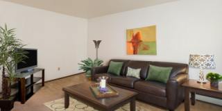 Evergreen Evergreen Gallery 2