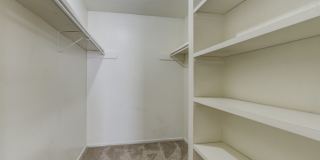 Albany Ridge Apartments – Comfortable Living in West Lubbock Gallery 19