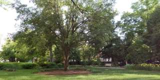 4600 CONNECTICUT Avenue NW Gallery 24
