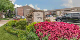 Adobe Springs Gallery 10