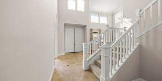 6 Petria Gallery 2