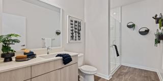 Alton Osprey Gallery 10