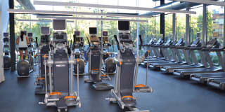 Rittenhouse Hill Gallery 33