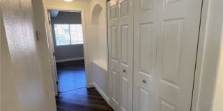 10552 Pine Pointe Avenue Gallery 2