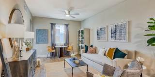 Charlotte Commons Apartments Gallery 6