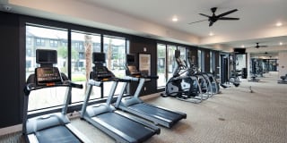 White Palm Gallery 20