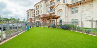 Senior Housing - Arella on Jones Gallery 50