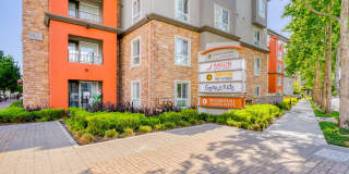 Dublin Station by Windsor Gallery 7