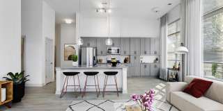 The Apartments at Dorsey Mill Gallery 1