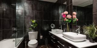 5002 N 38th Pl Gallery 10