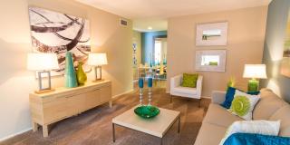 Pines of Woodforest Gallery 8