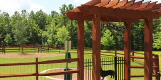 Perserve at Columbus Park Gallery 16