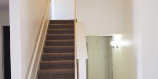 No HOA! North Phoenix 3 Bedroom Home with Large Yard & Garage Gallery 9