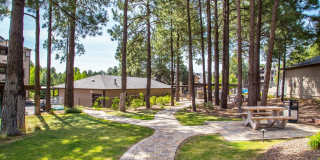 The Lodge The Lodge Gallery 1