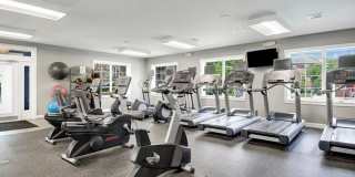 ReNew Waltham Gallery 16