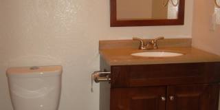 Lovely large updated 3 bed, 2 bath house w/ 2 living & 2 dining areas in Austins Colony Gallery 14