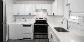 Hidden Colony Gallery 12