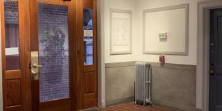 41 Linnaean Street Gallery 3