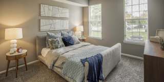 Alvista Bowie Gallery 8