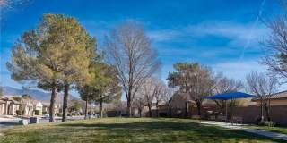 4921 Novelli Place Gallery 30