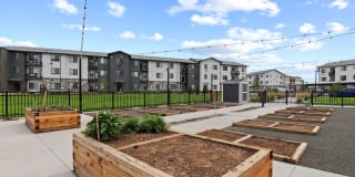 Camber Apartments Gallery 33